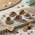 Authentic Goa Keepsake: Painted Elephant Cowrie Shells (Pack of 5)