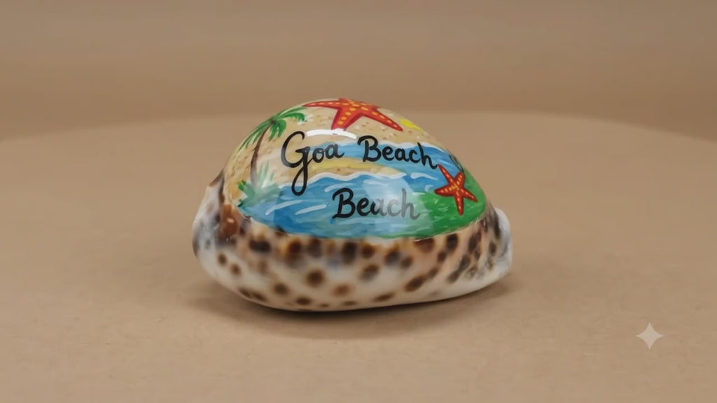 Goa Beach Cowrie Shell – Miniature Ocean World Resin Art (pack of 5)