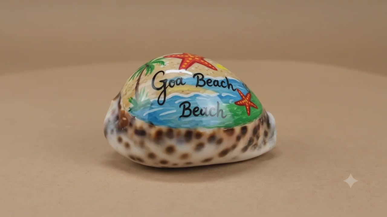 Goa Beach Cowrie Shell – Miniature Ocean World Resin Art (pack of 5)