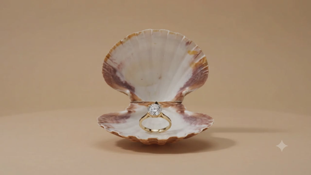 Natural Goan Scallop Shell