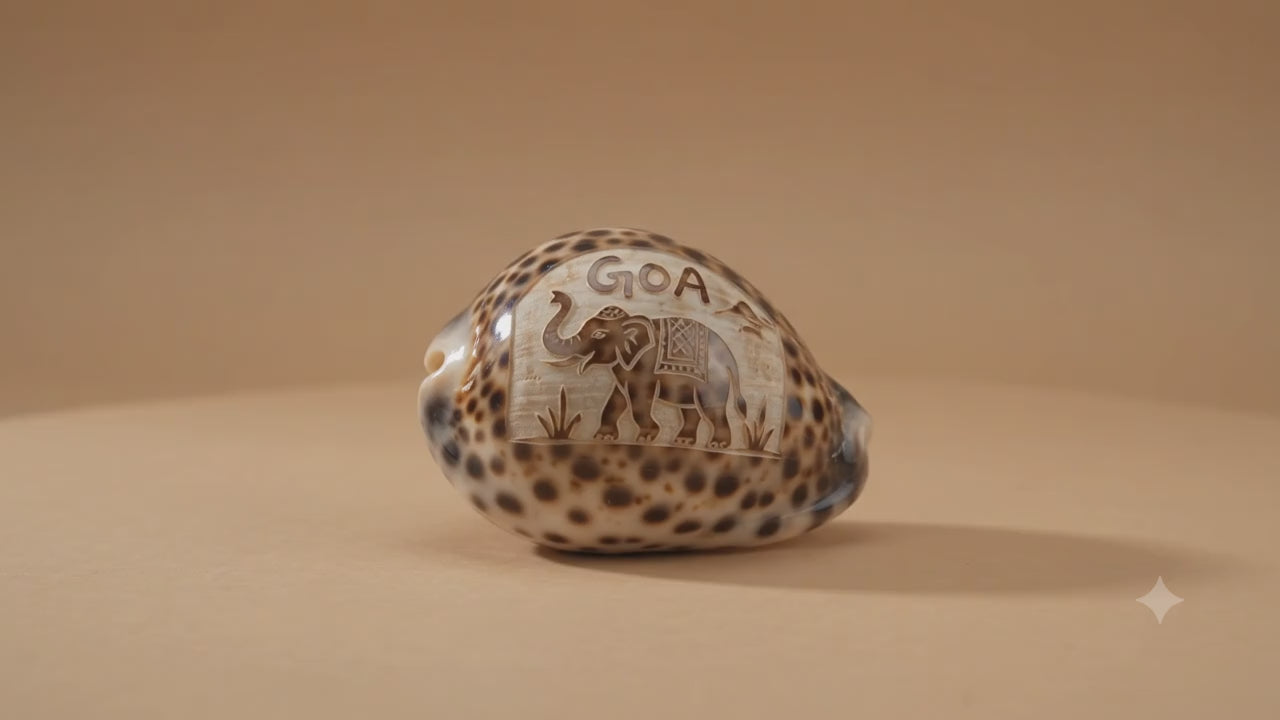Authentic Goa Keepsake: Painted Elephant Cowrie Shells (Pack of 5)